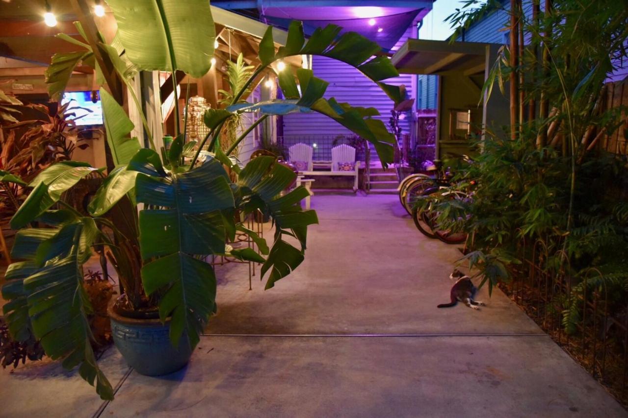 The Dragonfly Treme Guest House La Nouvelle-Orléans Extérieur photo